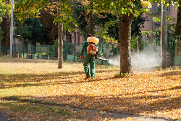 Professional Pest Control in Hebron, IL